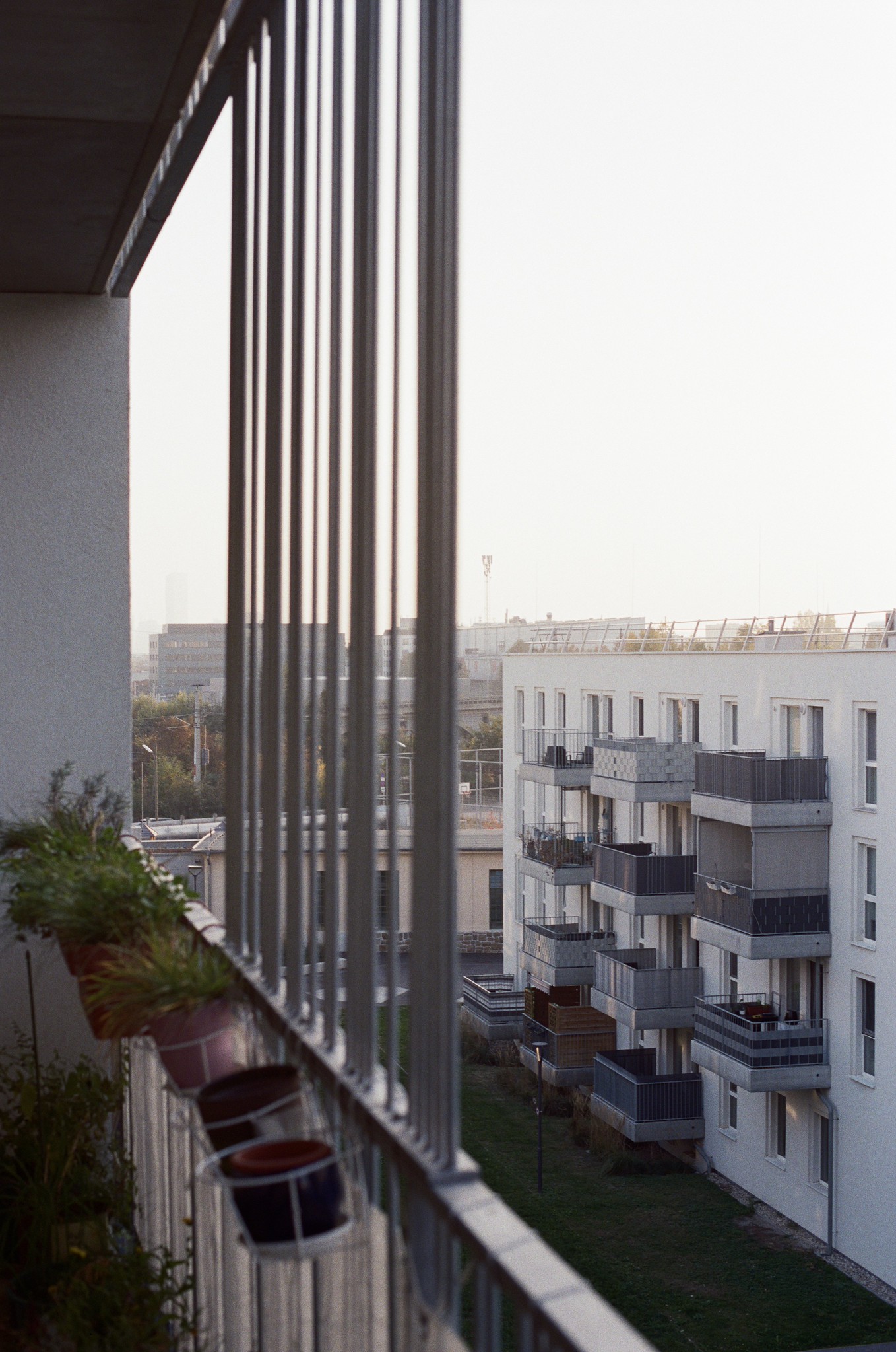 Blick auf Neuleopoldau vom Balkon aus. Es ist später Nachmittag mit untergehender Sonne und ein friedlich warmes Licht taucht das Stadtviertel ein.