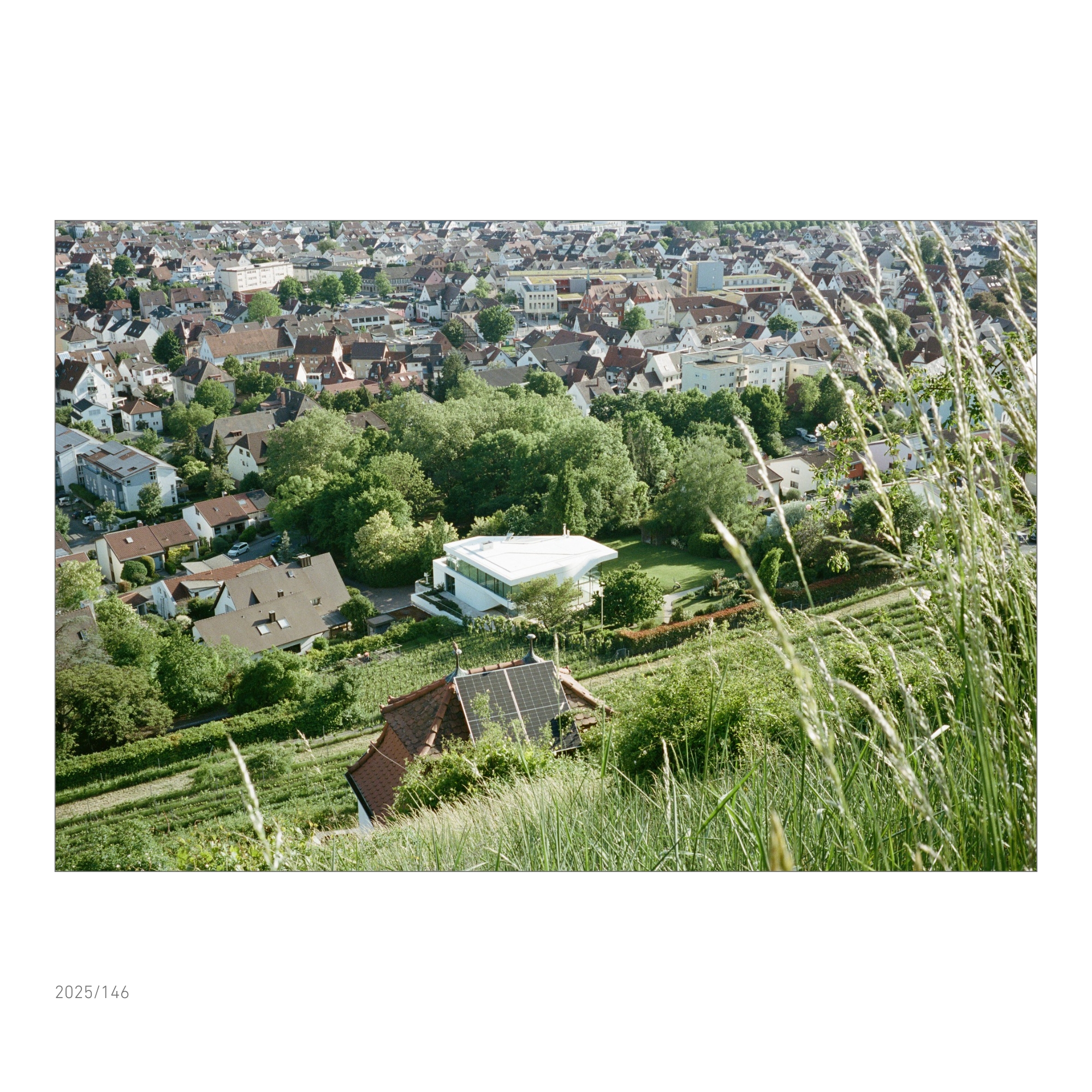 Am Fuße des Weinbergs in Aspern (Nähe Ludwigsburg) steht ein Haus, das könnte ein großer weißer Flügel sein.