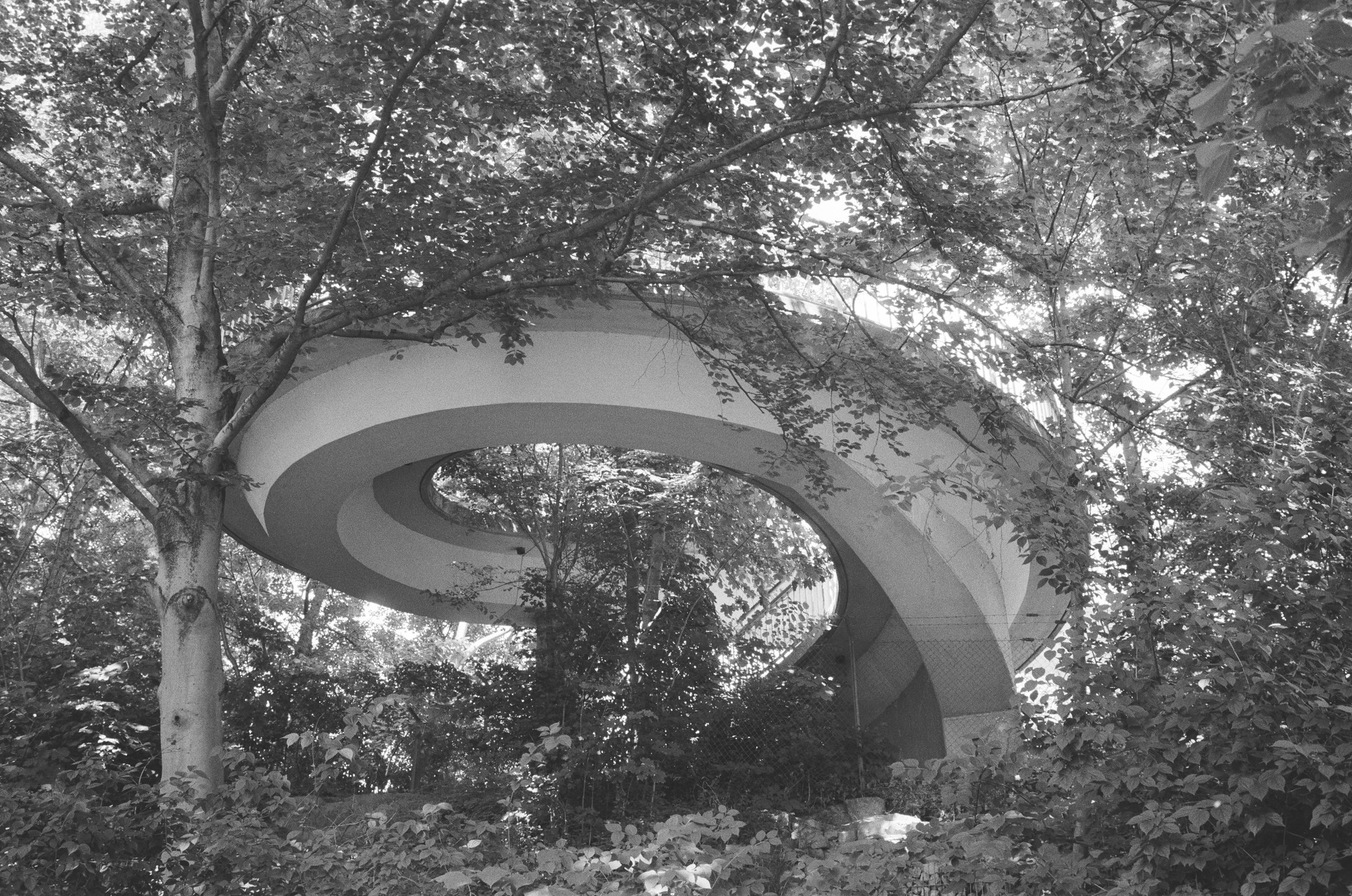 Das schwungvolle Ende einer Fußgängerbrücke über die Marburgerstraße in Ludwigsburg. Der Beton windet sich einem Schneckengehäuse gleich eine Etage tiefer in den Schloßpark.