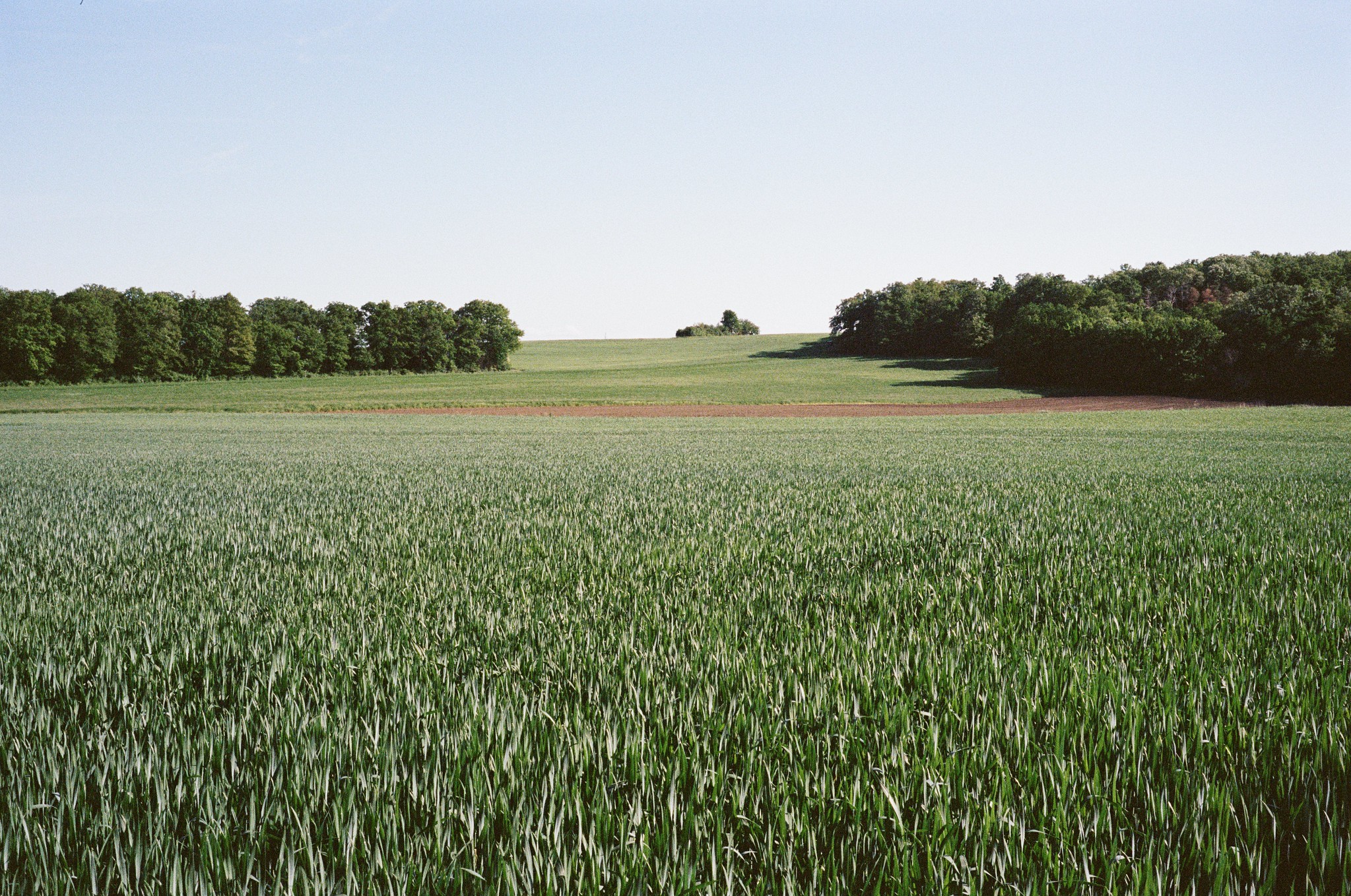 View across the field towards the south-east. Near Gaweinstal in early spring.