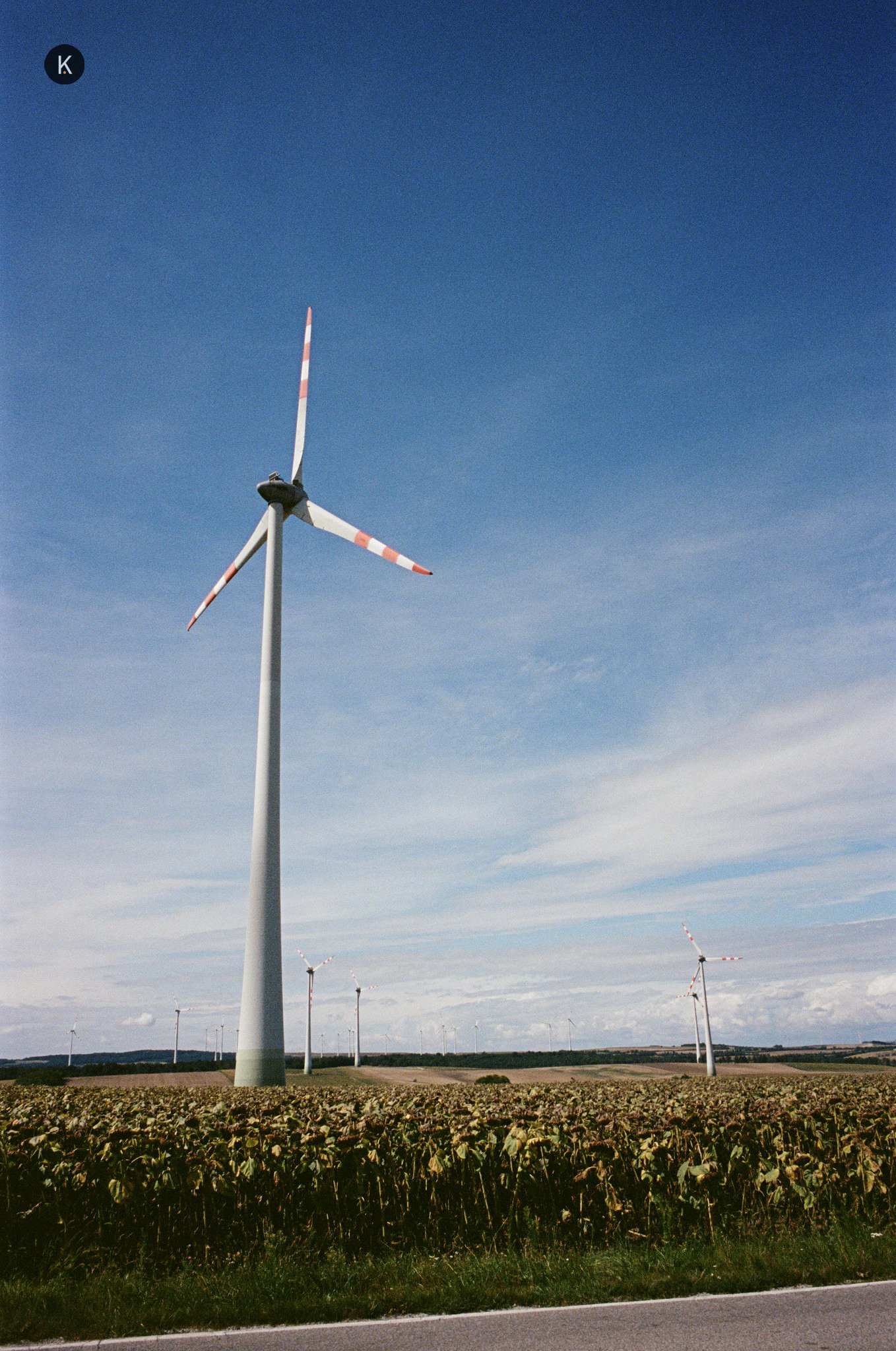 2026/007