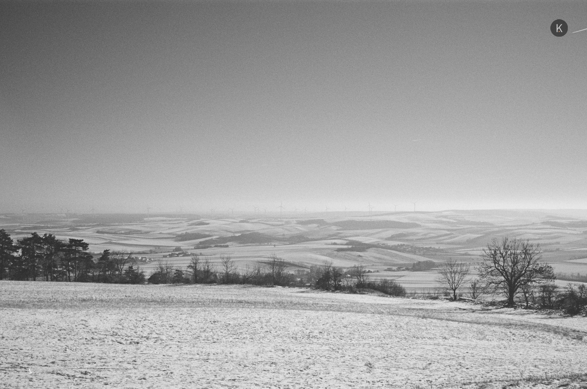 2026/059