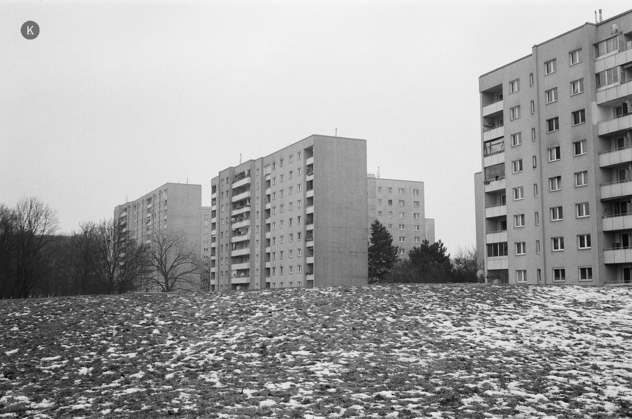 2026/073